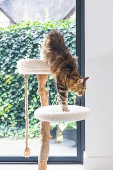 Echtholz Kratzbaum VILJA 110cm - Designed by Lotte - für Katzen bis 10kg